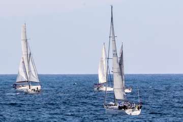 Salida de la 35 edición de la regata ARC 2020/Reportaje gráfico de José Francisco Fernández Belda (Foto 1-92) y Jesús Ruiz Mesa Fotos (93-122).